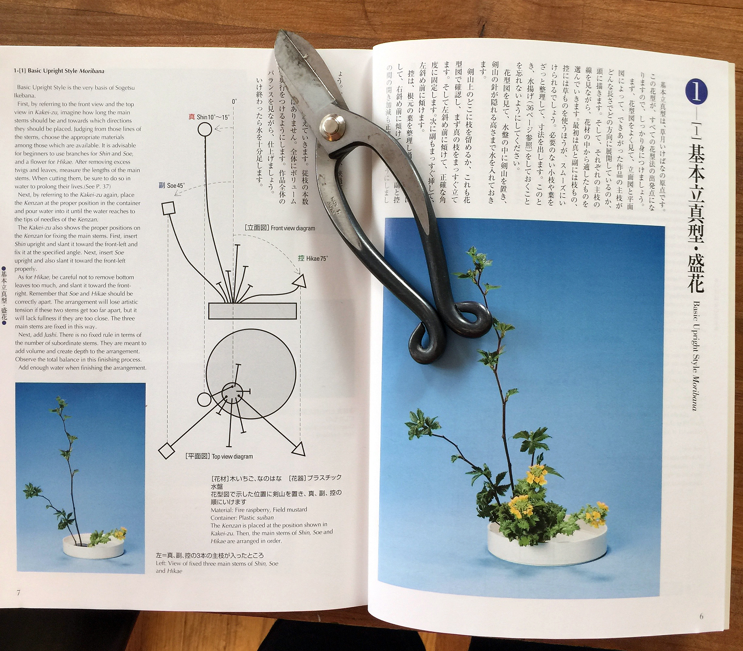 Book 1 Lesson 1 with Marilyn's own Ikebana scissors!