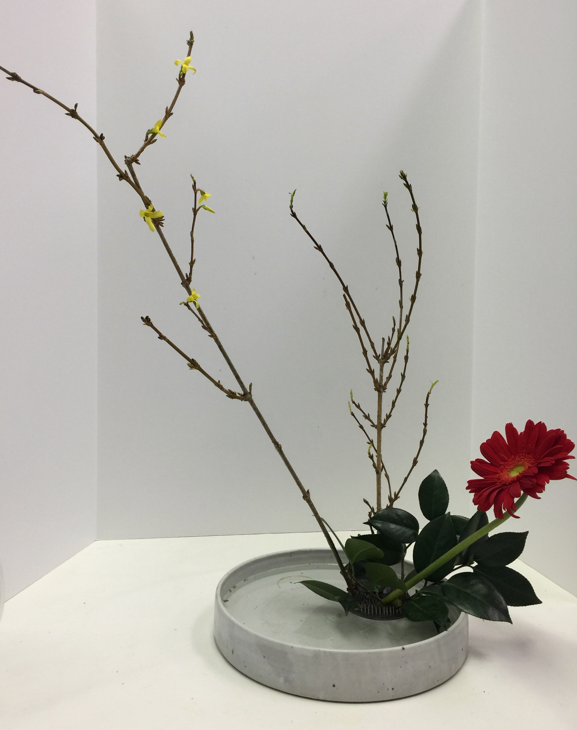 Book 1, Lesson 1, Page 1, Sogetsu School of Ikebana and Marilyn
