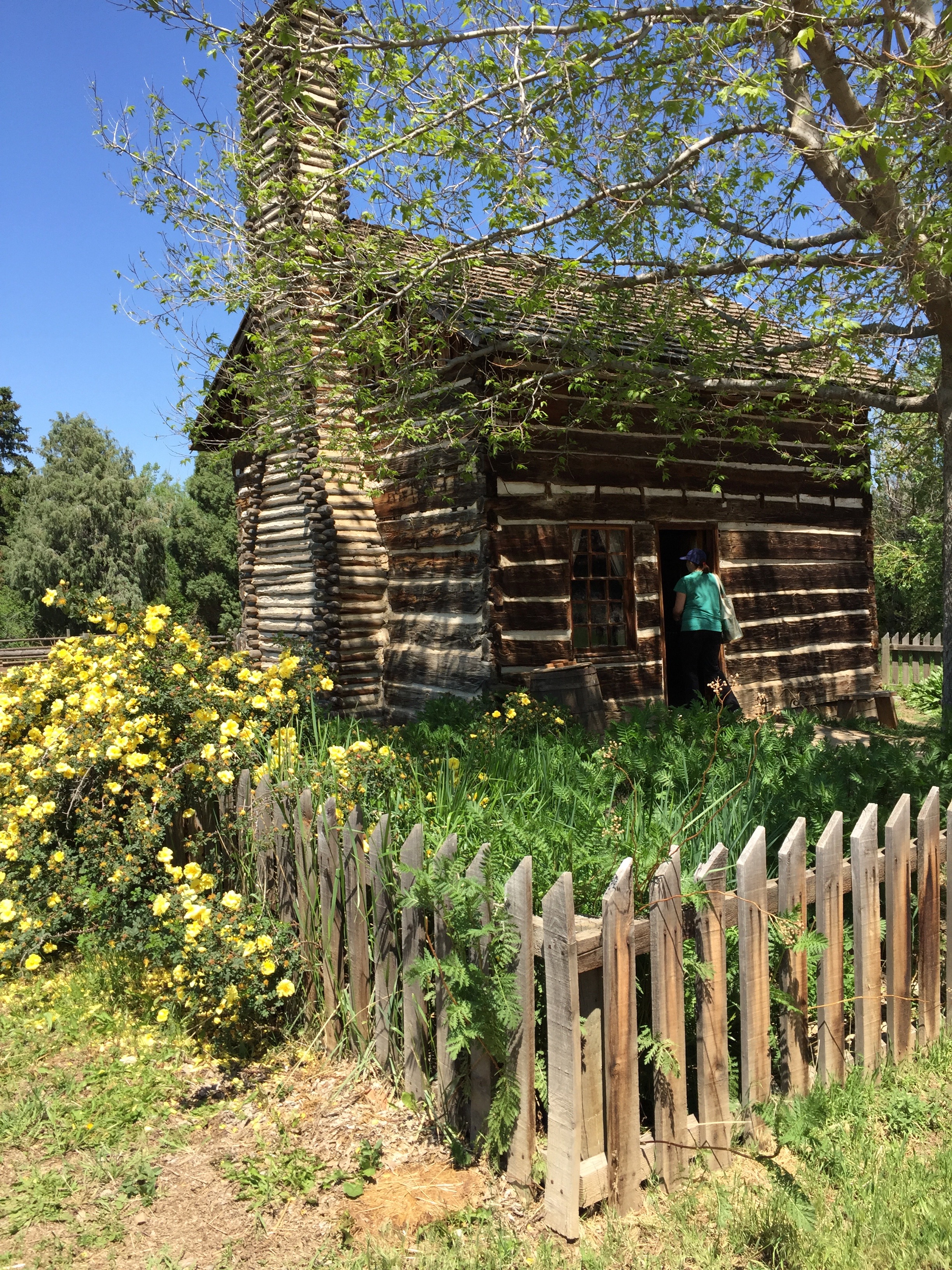 "Littleton Farms Pioneer Cabin photo with Harrison Rose" - photo by Marilyn