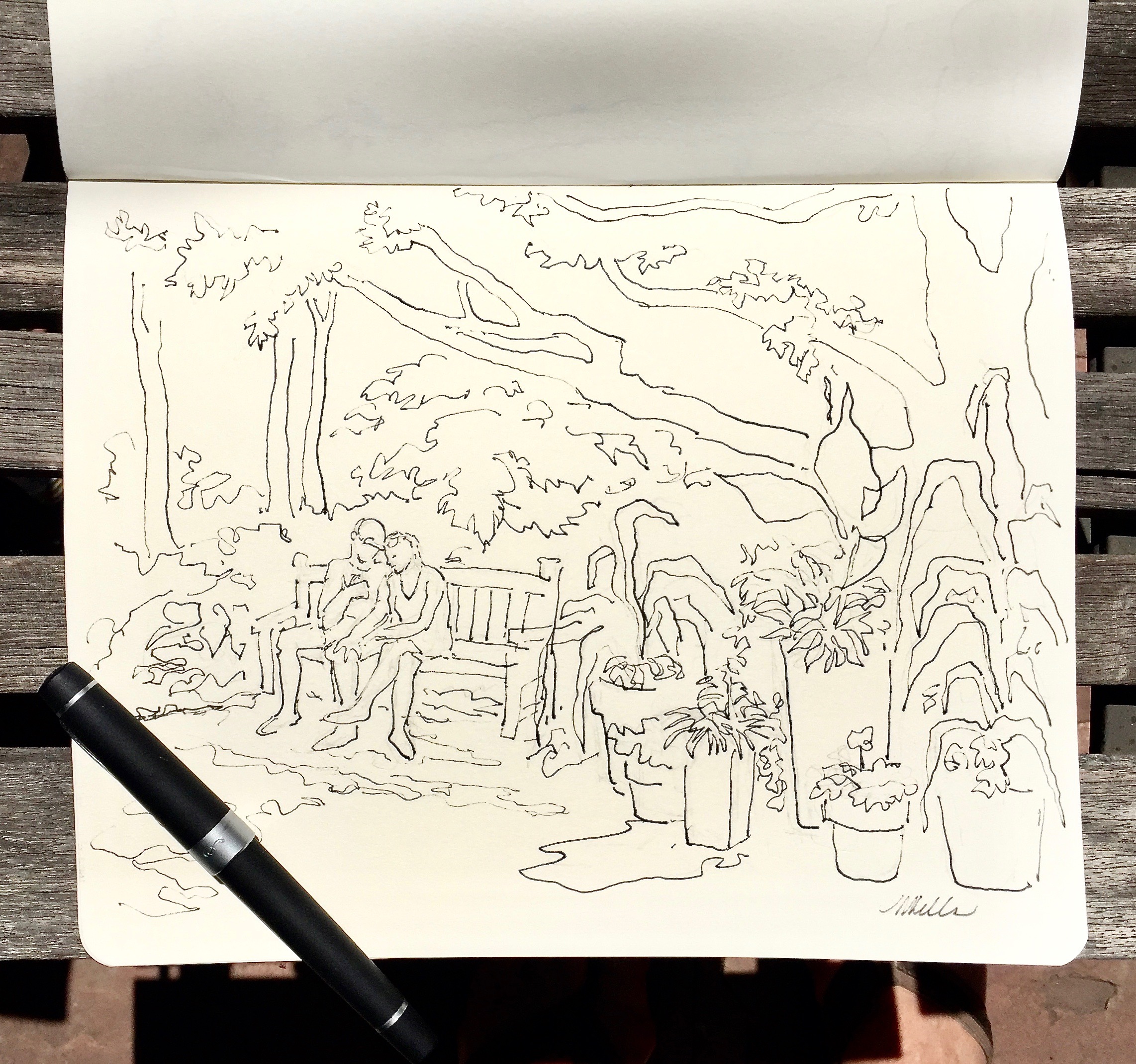 Ink with Pencil, line drawing by Marilyn, sketchbook at the Denver Botanic Gardens, 9" x 11"