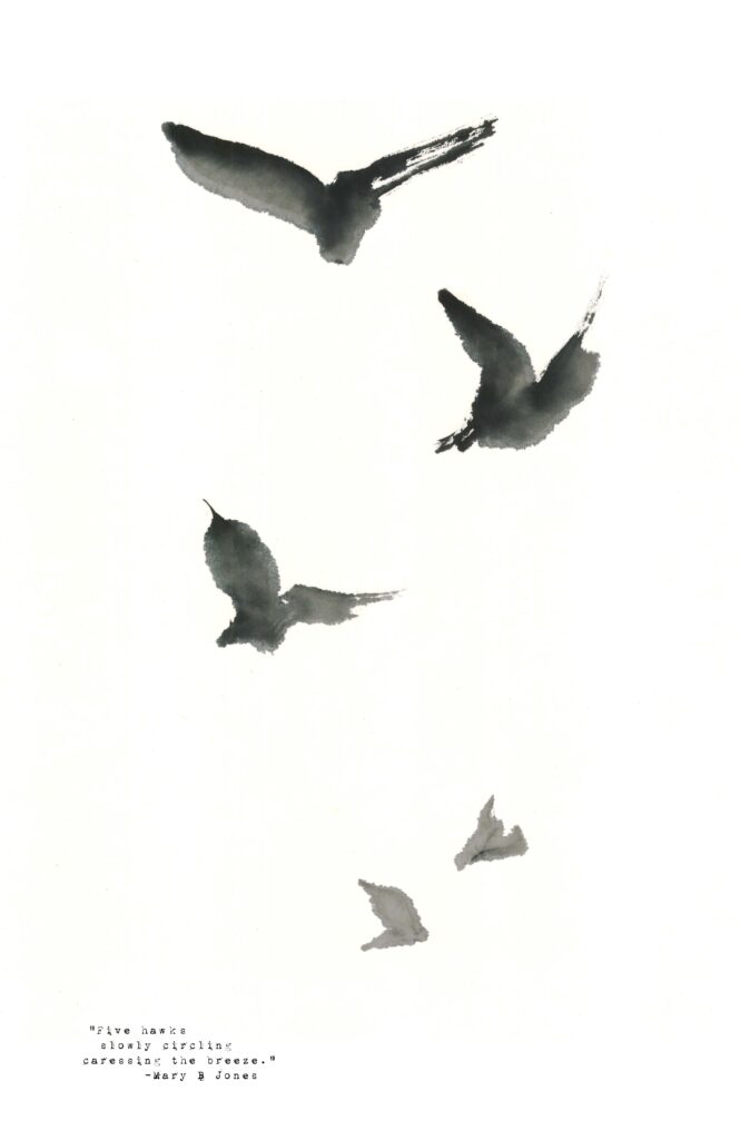 Find Your Signs to Hope, Peace and Joy Through Birds who come to you. "Five Hawks" by Marilyn Wells, black and white abstract sumi e painting, Prints available.