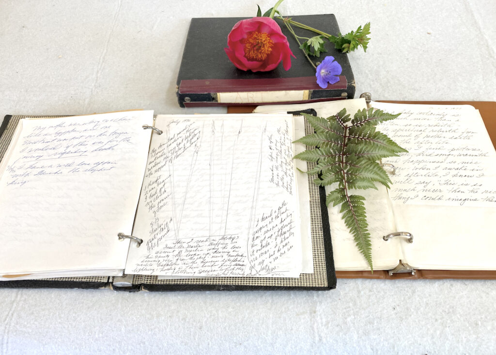 Earliest Journals and Sketchbooks of Marilyn Wells,  "Journals and Sketchbooks to Find Signs to Hope, Peace and Joy."