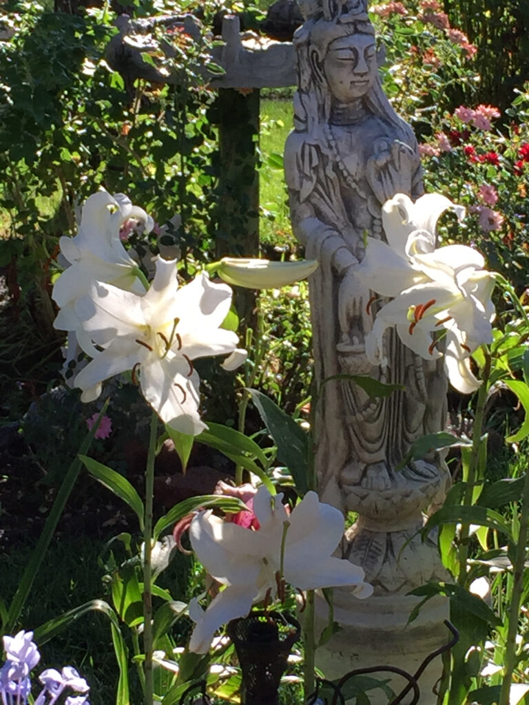 "Marilyn's Kuan Yin and Lilies of Her Garden Up Close" for  Concluding "Find Your Signs to Hope, Peace and Joy,"